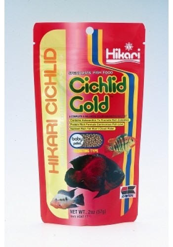 Cichlid Gold