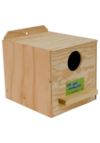 Cockatiel Nest Box Inside Mount