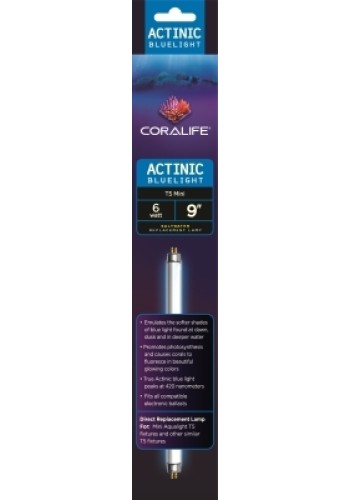 Coralife Actinic T5 Lamp