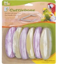 Cuttlebone Mango Banana 6 Pack