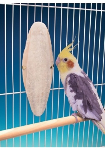 Cuttlebone W/Holder Super Md/L