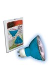 Day Blue Lght Halogen Bulb 75W