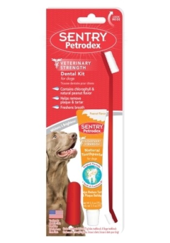 Dental Kit Dog Peanut Paste