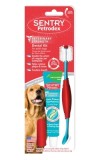 Dental Kit Dog Poulty Paste