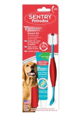 Dental Kit Dog Poulty Paste