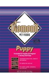 Diamond Puppy