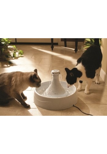 Drinkwell 360 Pet Fountain