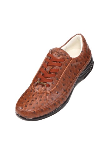 Pelle Pelle PP3379 Cognac Ostrich Quill Sneaker