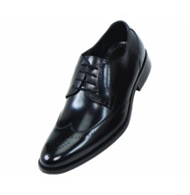 Steven Land SL7184 Black Genuine Leather Wingtip O