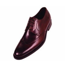 Steven Land SL7184 Brown Genuine Leather Wingtip O