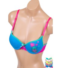 Bra-1104A (6pc)