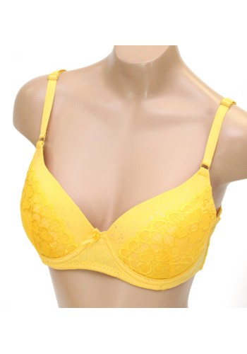 Bra-1300 (6pc)