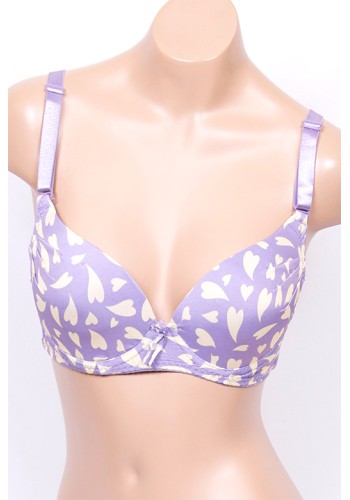 Bra-7090 (6pc)