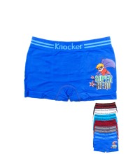 Children Underwear-BPS016 (12pc)