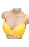 Bra-1300 (6pc)