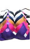 Bra-9910 (6pc)
